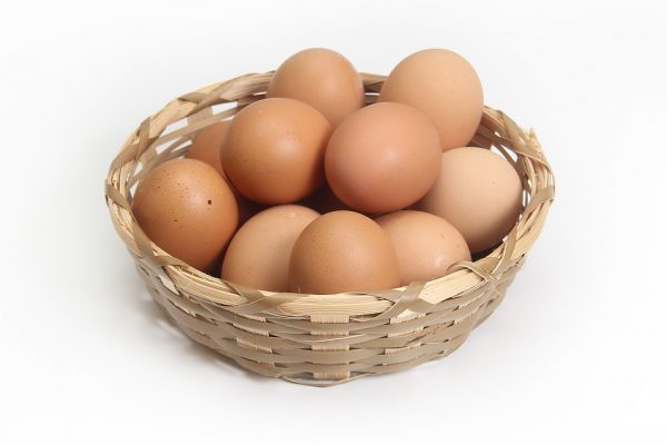 chicken-1686641_960_720