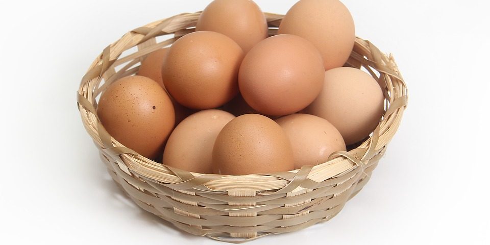 chicken-1686641_960_720
